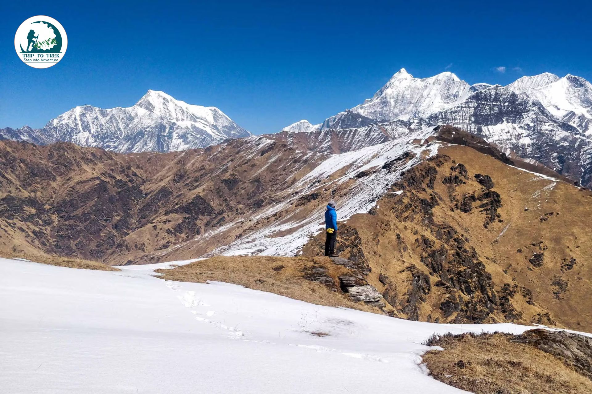 Himalayan Trek