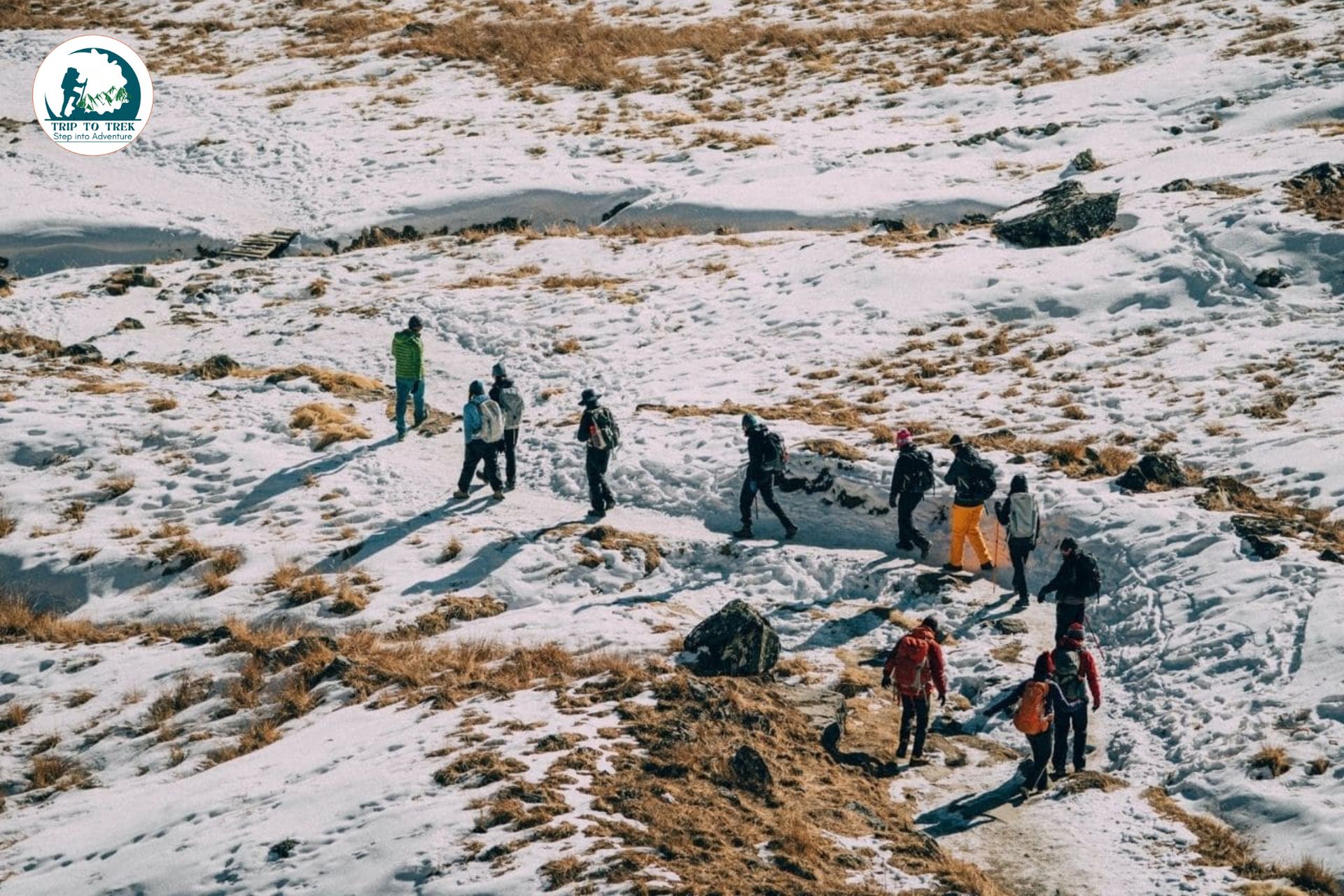 Himalayan Trek