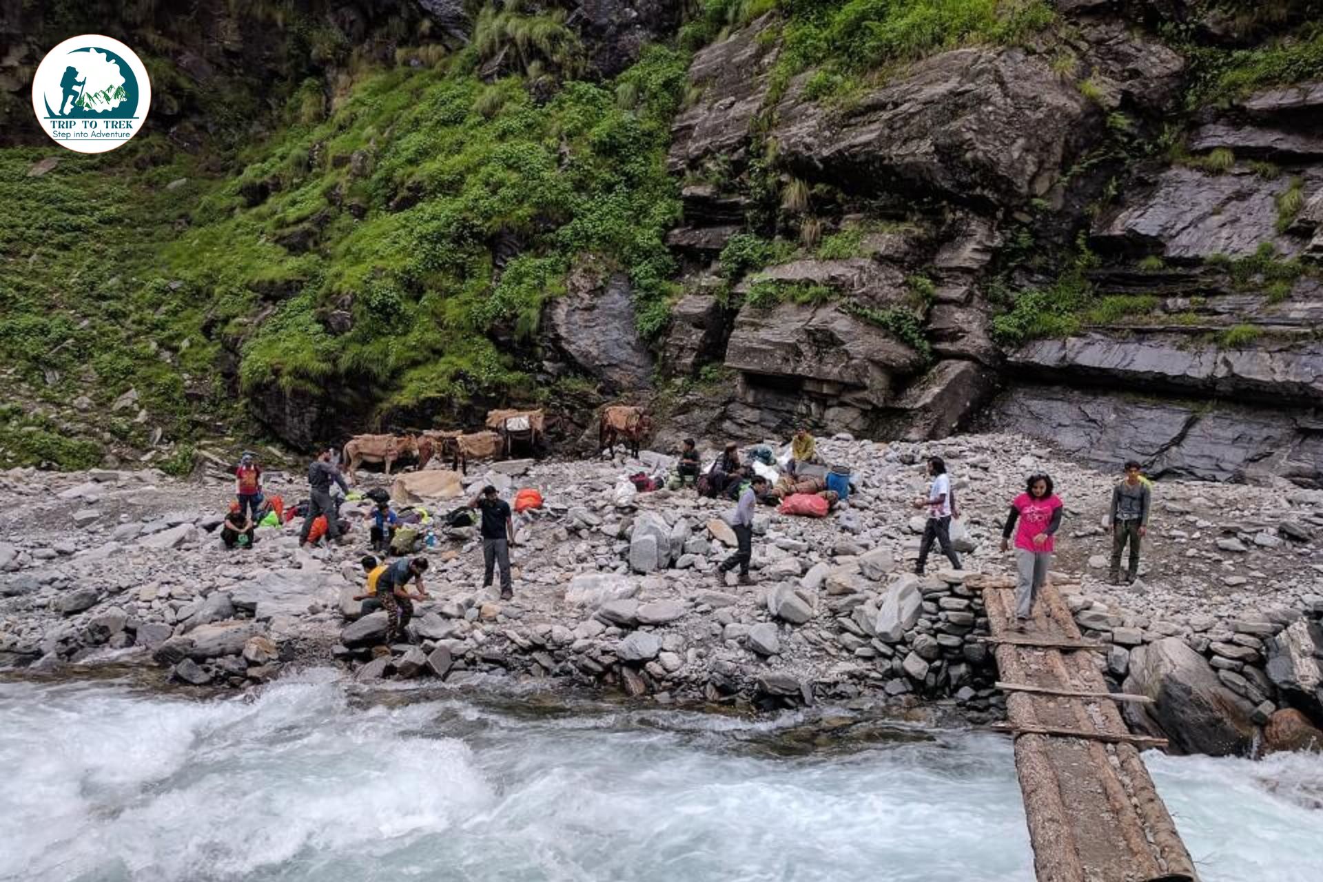 Himalayan Trek