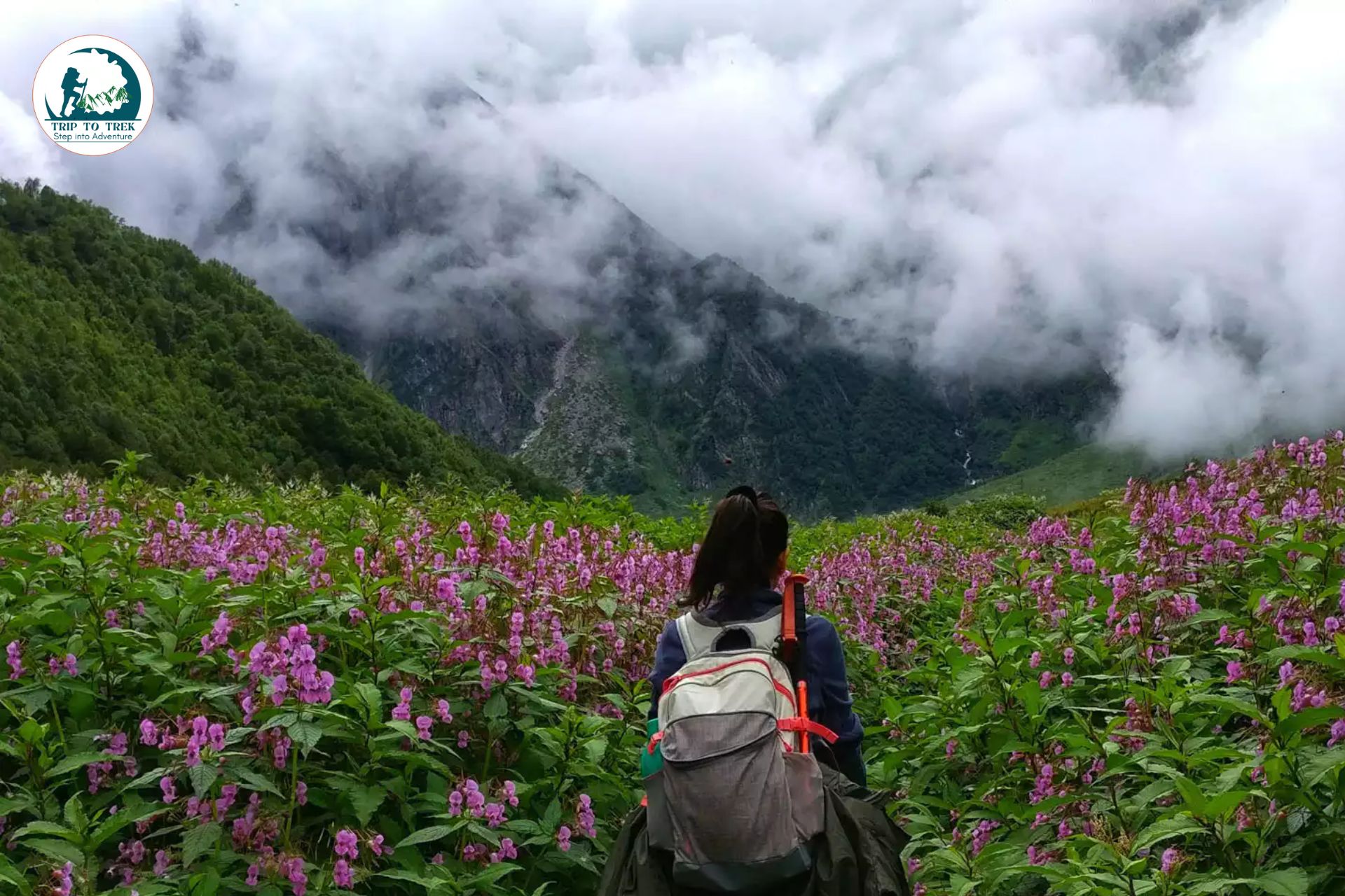 Himalayan Trek